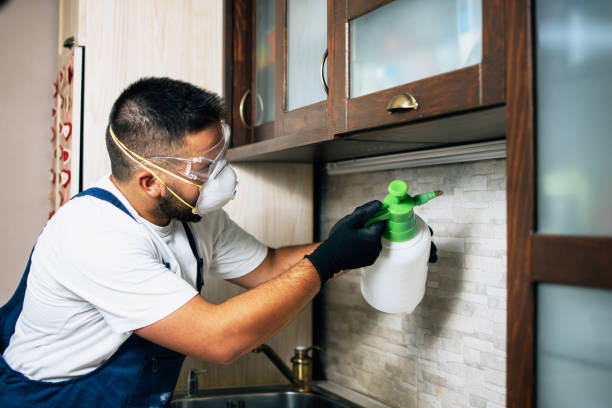Best Flea Control Services  in Manhasset Hills, NY