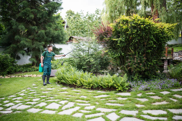 Best Exterminator Services  in Manhasset Hills, NY