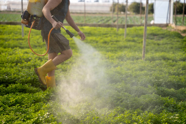 Best Pest Removal Services  in Manhasset Hills, NY