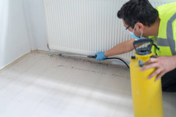 Best Affordable Pest Control Services  in Manhasset Hills, NY